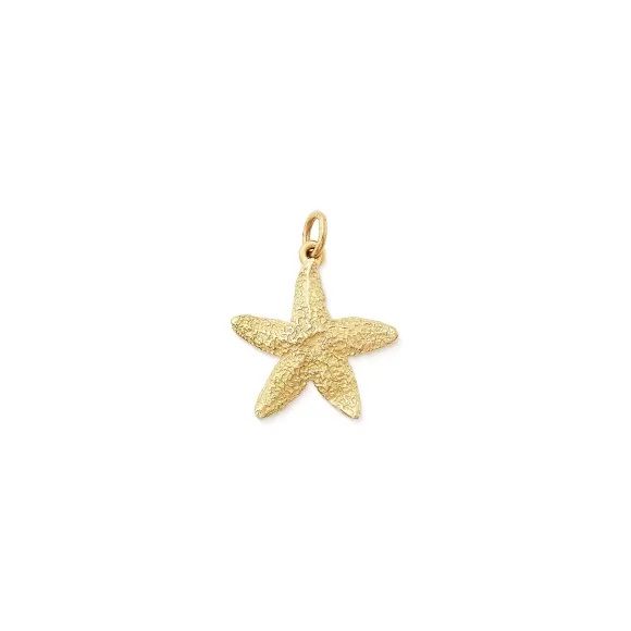 Cheap James Avery Artisan Jewelry Cape Starfish Charm