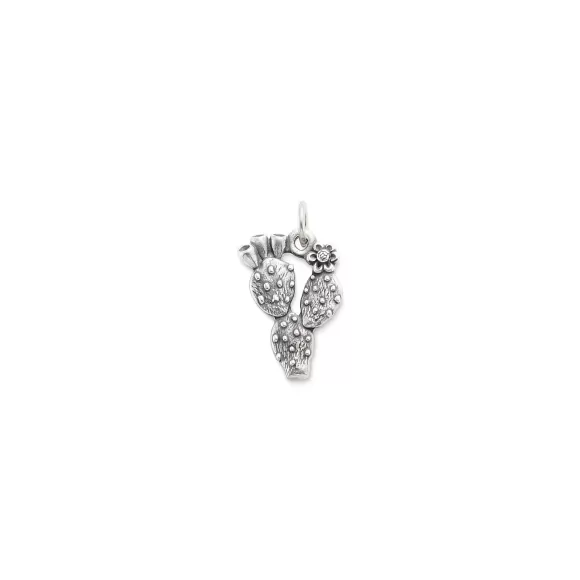 Best James Avery Artisan Jewelry Prickly Pear Cactus Charm