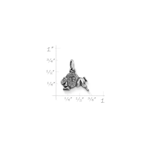 Discount James Avery Artisan Jewelry Tonk Charm